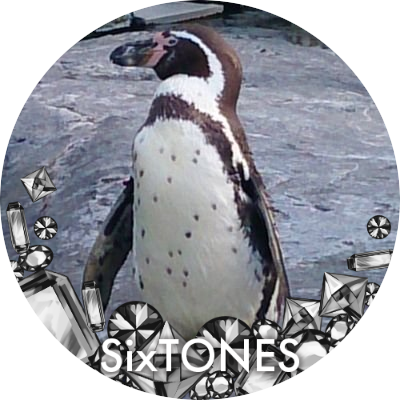 aloha_rica1018's profile picture. 「10の秘密」の北斗きっかけで
「SixTONES💎」という底なし沼に落ちてしまいました🥰50代最後の年、彼らのママ世代。
最後(？)の青春満喫中です👍　東京の東の端でひっそり生息中(⁠｡⁠•̀⁠ᴗ⁠-⁠)⁠✧