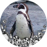 aloha_rica1018's profile picture. 「10の秘密」の北斗きっかけで
「SixTONES💎」という底なし沼に落ちてしまいました🥰50代最後の年、彼らのママ世代。
最後(？)の青春満喫中です👍　東京の東の端でひっそり生息中(⁠｡⁠•̀⁠ᴗ⁠-⁠)⁠✧
