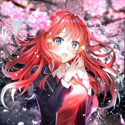 玉ねぎの赤ちゃんさんのプロフィール画像