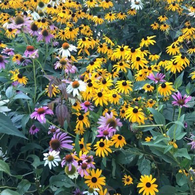 Natagold12's profile picture. 