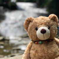 🧸ほぁほぁとしたラルクの日常🐾໊🐝 (@usa91_hana) Twitter profile photo