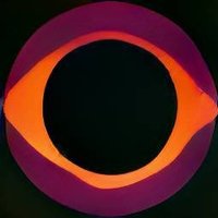 Squidzz (aka Cole) (@squidzzofficial) 's Twitter Profile