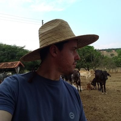 sun_setvibes's profile picture. Despachado, resiliente e autêntico