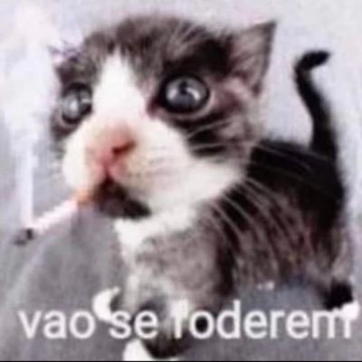 Não se assuste comigo sou mulher homem bicho!