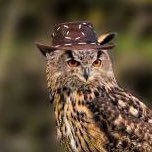 TrippyTeazel's profile picture. Under me, I see all the people that claim they over me and above me, I see nobody