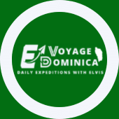 E Voyage Hiking -Dominica Tours