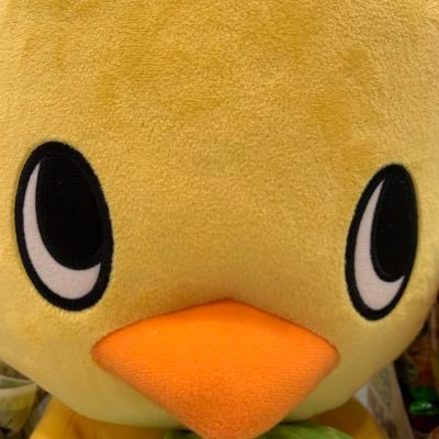 投資垢🐣ゆるく生きてますのだ。お金になるから株をしてますが、トレーダーと言えるほどでもないのだ。余裕できたら仕事に投資したいと考えてますのだ。