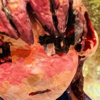 izzy_blobfish (@blobfishizzy) 's Twitter Profile