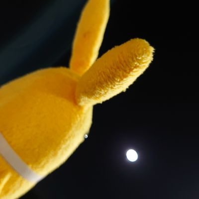 ツキウタ。/ツキプロ中心のグッズ取引アカです。社会人。地方のため郵送基本。マナーやモラルを守って、返信も滞りなくしてくださる方でしたら、ぜひお取引お願いします！固定ツイも参照していただけると、より安心です。※必要に応じて、本アカ提示可。
【推し】ツキウタ。→郁、ツキプロ→昂輝、剣介