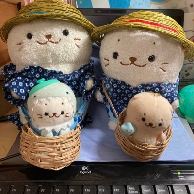 もこたんさんのプロフィール画像
