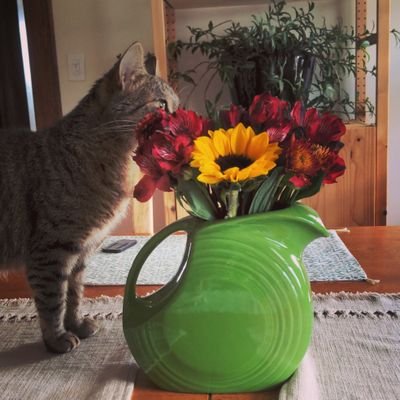 archivistnyc's profile picture. Just another archivist in NYC