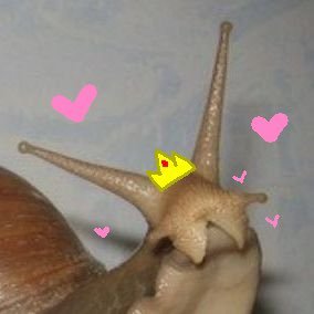 🔞bunny🔞さんのプロフィール画像