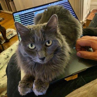 Pseudonymous software technologist. Trying to improve my tiny bounded context. I love cats, old F1, planes, and nature. He/him. | @PurrDrivenDev@hachyderm.io