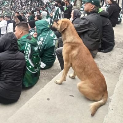 falo sobre o Coritiba e MMA tudo baseado na minha opinião que é a que realmente importa!