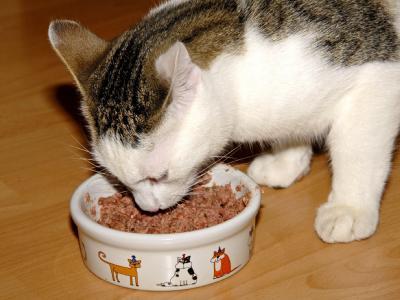 #Bio #Katzenfutter & #Bio #Katzen #Pflegeprodukte lbequem und preiswert online bestellen!