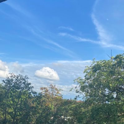 ambaibaiii's profile picture. 22 | ชอบเสพผลงาน