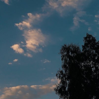 habibawael2333's profile picture. شخص أقصى طموحاته يداري خاطره