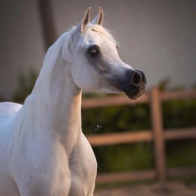 مآء الجنہ ۆبرد الجنہ ۆحب الجنہ - ۆبقآء الجنہ'♡ياللہّ بحسنَ الخآتمہ