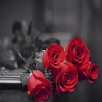 الندى ♥️ (@alnadaa17) 's Twitter Profile Photo