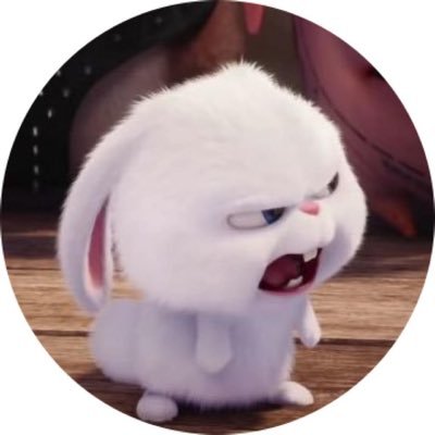 🐰