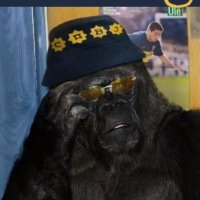 Simio Bostero ⭐⭐⭐ (@arian_or) 's Twitter Profile Photo Simio Bostero ⭐⭐⭐ (@arian_or) 's Twitter Profile Photo