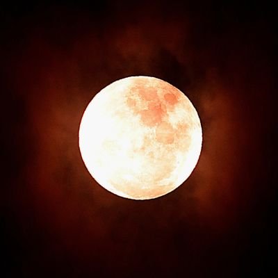 karakarasu2600's profile picture. bf1もっかい流行れ…