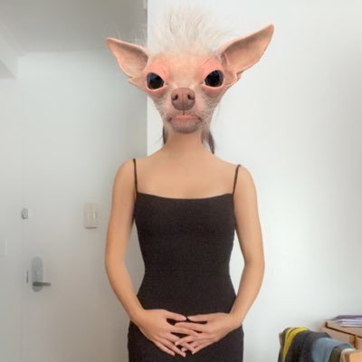 barbiemeanbean's profile picture. tradwife sympathizer