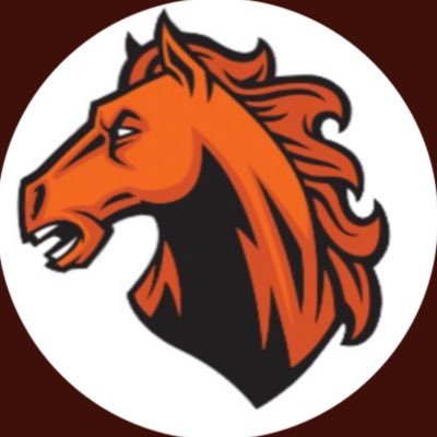 Official page for Okay Mustangs Men’s Basketball