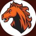 Okay Mustang Basketball (@mustangsaau) Twitter profile photo
