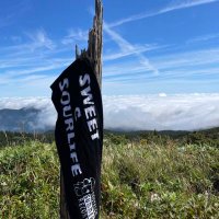 SWEET＆SOURLIFE (@sweet_sourlife) 's Twitter Profile Photo