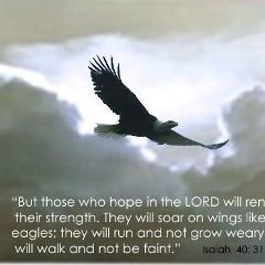 Thank You Lord I'm set free from the World's Insanity,I focus ALL My Time,ALL My Love on serving Thee and Humanity...No Groups,No Lists,No Tags...February 15th