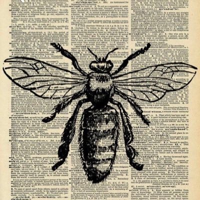 havanasun031's profile picture. Author ~ Psychology is my thing... from who’s eyes are you seeing the world from?