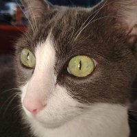 PrincessFreya (@freyavikinggirl) 's Twitter Profile Photo PrincessFreya (@freyavikinggirl) 's Twitter Profile Photo
