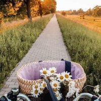 🌺 (@b66a66) 's Twitter Profile