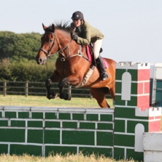 Mum to 3 inspirational kids. 2 Special Olympic swimmers that make my life an emotional roller coaster and a show jumper who has a knack of doing the same. ❤️