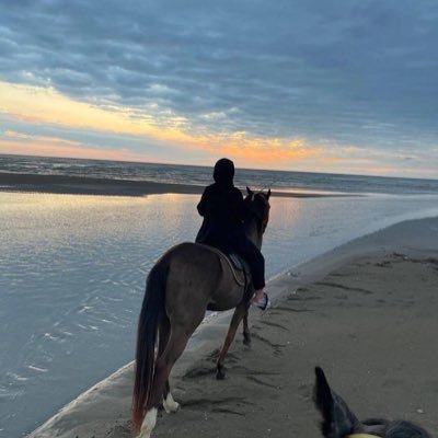 mmsh229's profile picture. 