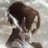  House Of The Dragon  Ser Criston Cole Thirst Tweets  - 87