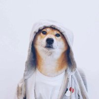 blue 777 (@peanuts77777777) 's Twitter Profile