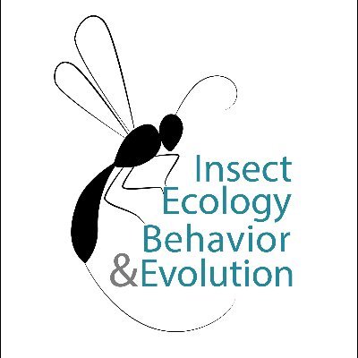 The Twitter account of Michal Segoli's Entomology Lab, Ben-Gurion University of the Negev