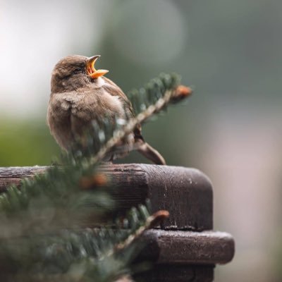 mnjhopp's profile picture. 