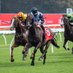 Calibre Racing Group (@calibreracing1) Twitter profile photo Calibre Racing Group (@calibreracing1) Twitter profile photo