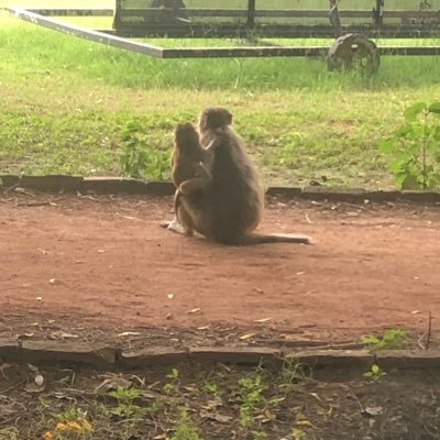 in a committed relationship with garlic chutney// chaotic confuse is my natural habitat— MPP’23, IITD