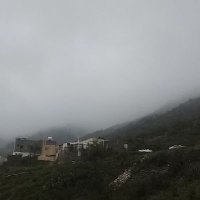 wilkie chae (@chae2585mo) Twitter profile photo