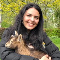 Esra Şengül (@esra_sngl) 's Twitter Profile Photo Esra Şengül (@esra_sngl) 's Twitter Profile Photo