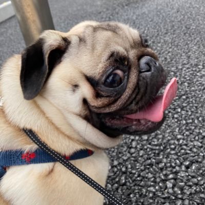 WataChallenge's profile picture. ０から英語を勉強！
目標：TOEIC　850