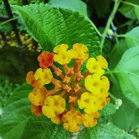 Ravi (@ravi95457422) 's Twitter Profile