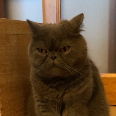 マツタニ　コウジ
