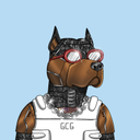 blkdrac.sol | SOL Killer Bunnies - @AaronLeupp90 - Twitter