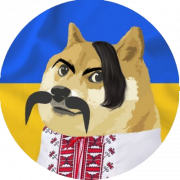 spyrogyra's profile picture. 