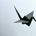 cara samuels - @carasamuels6 - Twitter